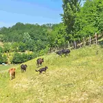 Cascina Lissona Sessant