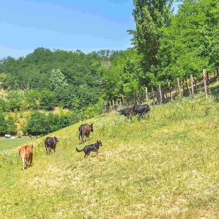 Cascina Lissona Asti