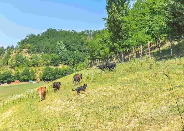 Cascina Lissona Asti